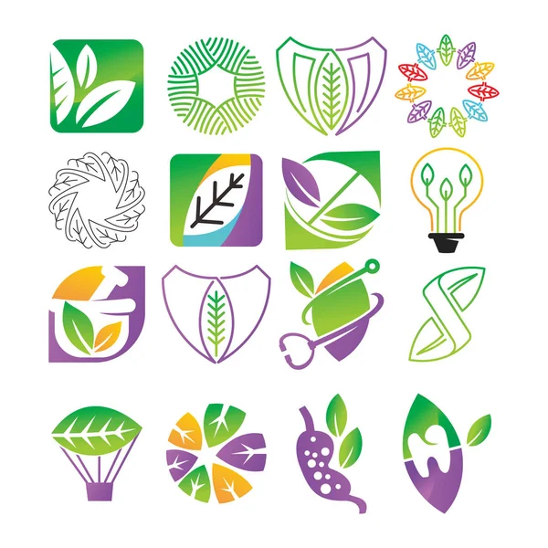 Yaprak Logo tasarım vektör şablon koymak