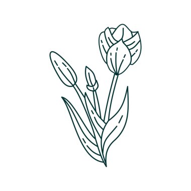 Çiçek Yaprak İllüstrasyon Tasarım Şablon vektör