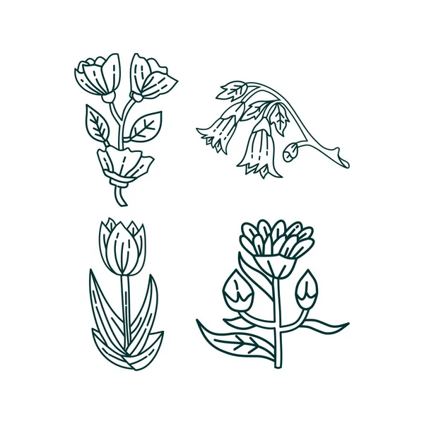 Flower Leaf Illustration Design Template Vector — Stock Vector