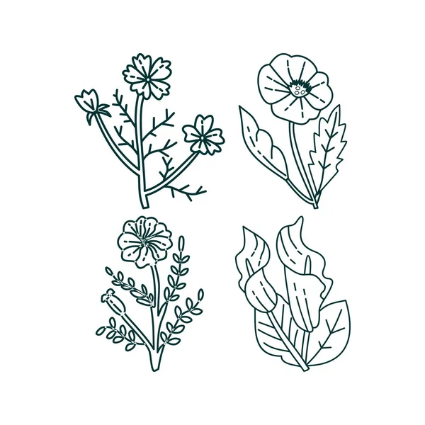 Bloem blad illustratie ontwerpsjabloon vector — Stockvector