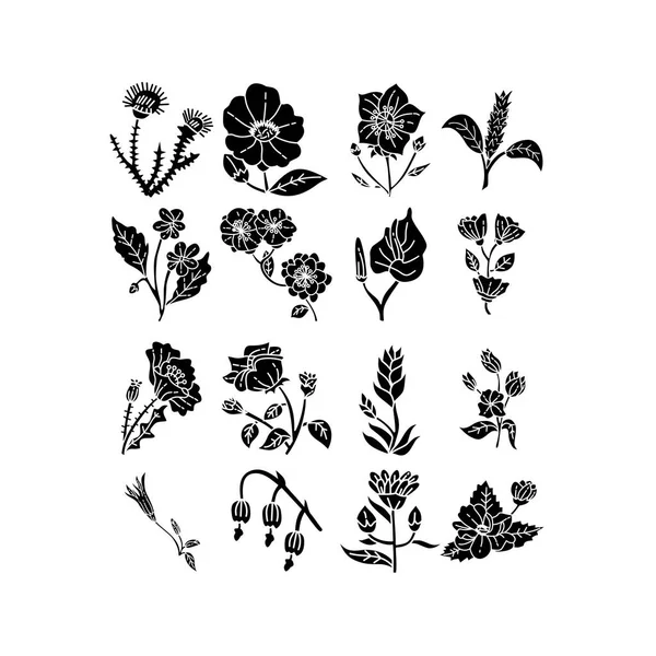 Kwiat liść ilustracja projekt szablon wektor — Wektor stockowy