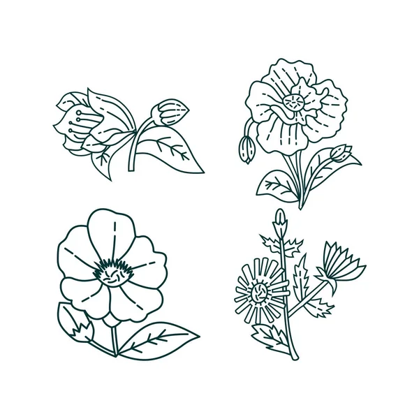 Λουλούδι φύλλο σχεδίαση Εικονοδιάνυσμα πρότυπο — Διανυσματικό Αρχείο