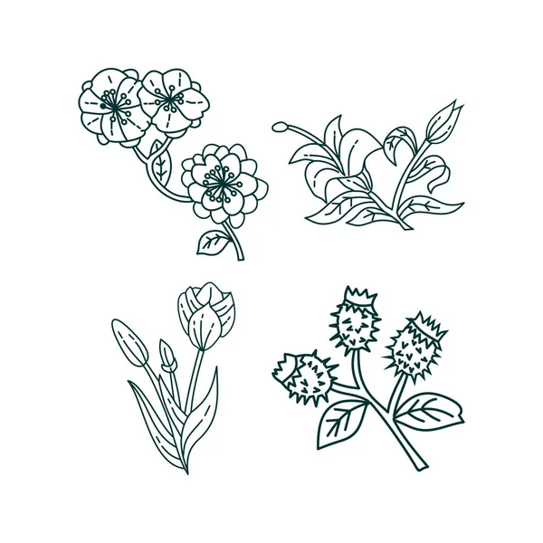 Bloem blad illustratie ontwerpsjabloon vector — Stockvector