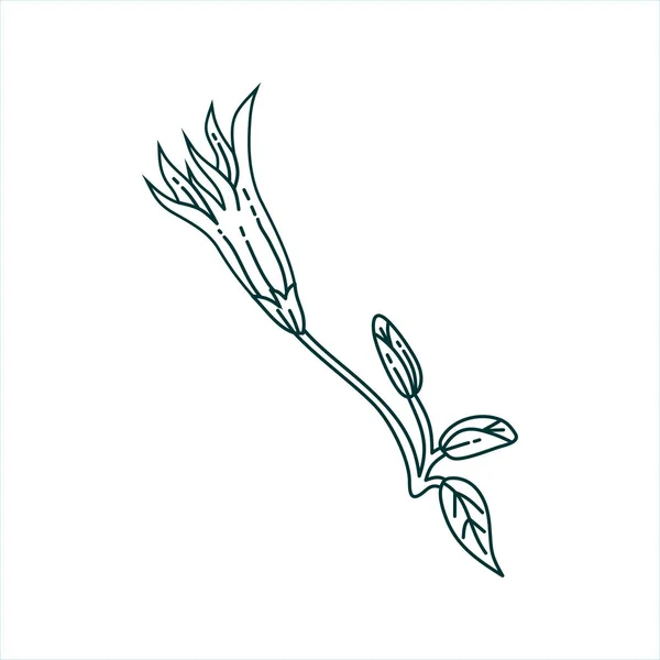 Λουλούδι φύλλο σχεδίαση Εικονοδιάνυσμα πρότυπο — Διανυσματικό Αρχείο