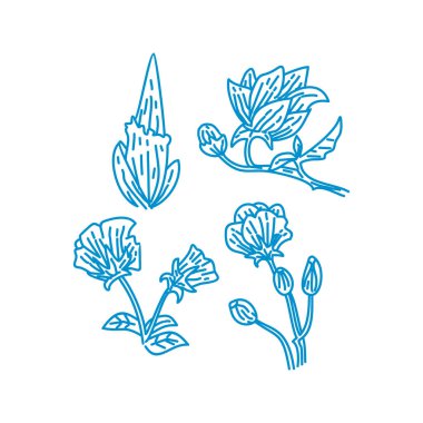 Çiçek Yaprak İllüstrasyon Tasarım Şablon vektör doğrusal