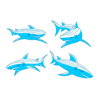 Shark logosu Maskot tasarım Anahat çizim şablonu