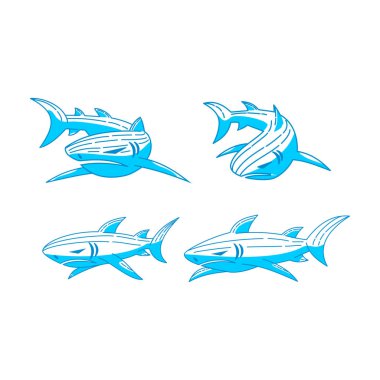 Shark logosu Kimlik tasarım vektör Anahat set kavram şablonu
