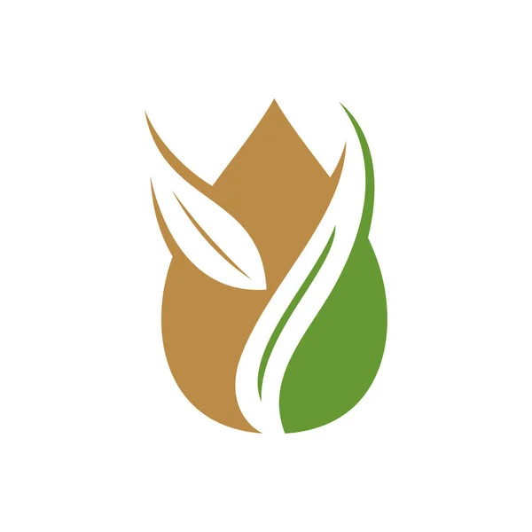 Natur spa logo öl wasser design icon vektor vorlage isoliert — Stockvektor