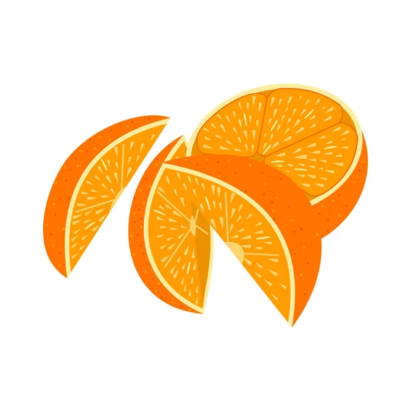 Plantilla Diseño Ilustración Naranja Aislada — Vector de stock