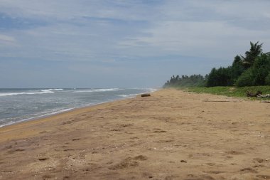 Sri Lanka 'da tropikal kumlu plaj