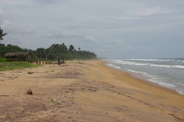 Sri Lanka tropik sahilde tekne Kişilik