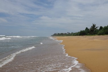 Sri Lanka 'da tropikal kumlu plaj