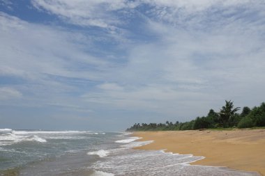 Sri Lanka 'da tropikal kumlu plaj