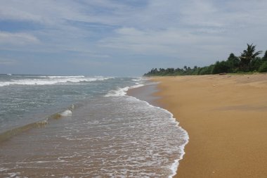 Sri Lanka 'da tropikal kumlu plaj