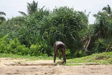 Wadduwa, Sri Lanka-Mayıs 06, 2018: bir bıçak kullanarak bir adam Sri Lanka 'da tropikal bir plajda taze bir Hindistan cevizi keser
