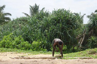 Wadduwa, Sri Lanka-Mayıs 06, 2018: bir bıçak kullanarak bir adam Sri Lanka 'da tropikal bir plajda taze bir Hindistan cevizi keser