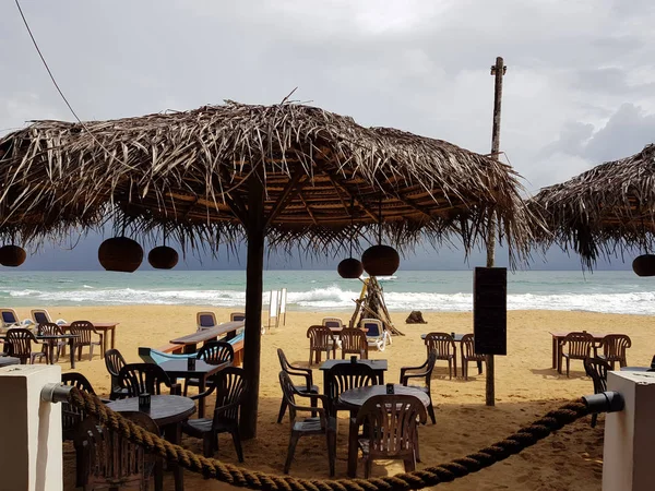 Okyanusa bakan kumlu bir plajda restoran. Sri Lanka Sahili