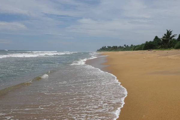 Sri Lanka 'da tropikal kumlu plaj