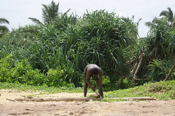Wadduwa, Sri Lanka-Mayıs 06, 2018: bir bıçak kullanarak bir adam Sri Lanka 'da tropikal bir plajda taze bir Hindistan cevizi keser
