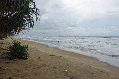 Wadduwa, Sri Lanka-Mayıs 08, 2018: balıkçılar tropikal okyanusun kıyısında balıkçılık vardır. Sri Lanka Sahili