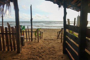 Sri Lanka tropikal plaj bungalov