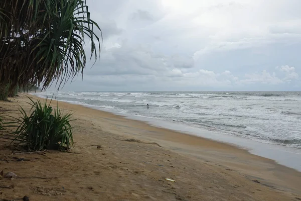 Wadduwa, Sri Lanka-Mayıs 08, 2018: balıkçılar tropikal okyanusun kıyısında balıkçılık vardır. Sri Lanka Sahili