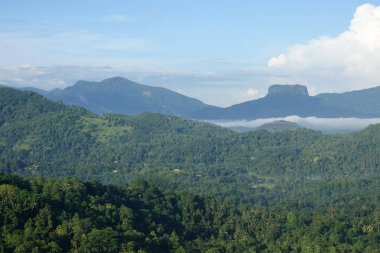 İncil Rock Sri Lanka orta kısmında. Bathalegala dağın