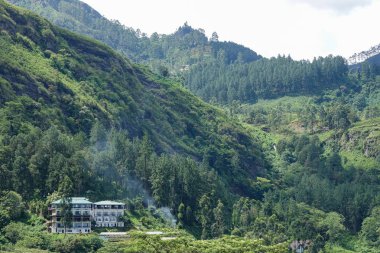 Sri Lanka orta kısmında bir yeşil vadi dağ manzarası