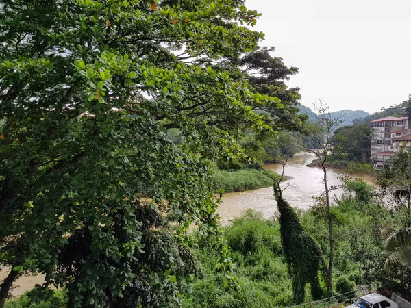 Kandy Mahaweli Ganga nehir manzarası. Sri Lanka'nın