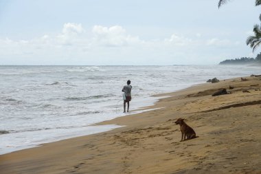 Wadduwa, Sri Lanka - 08 Mayıs 2018: net ve köpek Sri Lanka sahilde balık tutma ile balıkçı