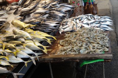 Üstünde belgili tanımlık sayaç Sri Lanka balık dükkanda Satılık taze balık