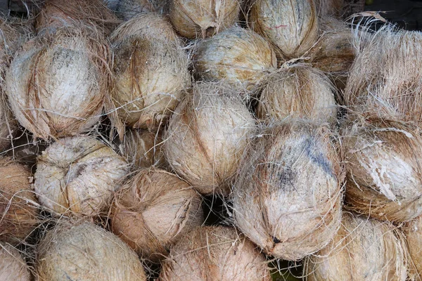 코코넛 클로즈업의 더미입니다 스리랑카에서 야채와 과일의 — 스톡 사진