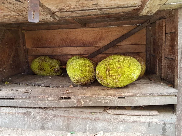 Ώριμα Jackfruit Στοιβάζονται Ένα Κουτί Μια Τοπική Αγορά Φρούτων Και — Φωτογραφία Αρχείου