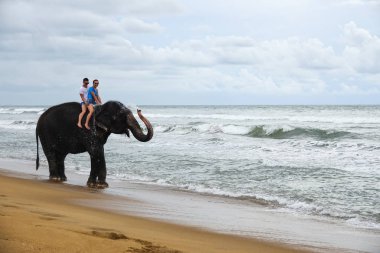 Genç bir çift bir fil ile bir tropikal okyanus plaj arka plan üzerinde gövde üzerinde biniyor. Tropikal Sri Lanka açıklarındaki