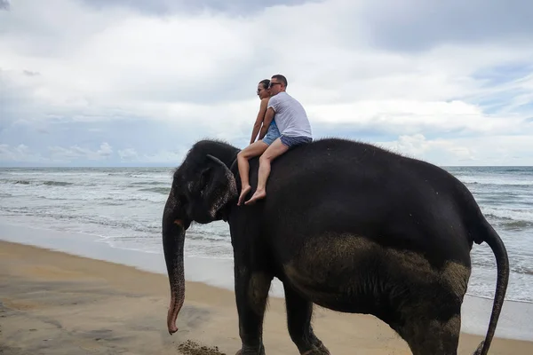 Young couple is riding on an elephant on the background of a tropical ocean beach. Tropical coast of Sri Lanka