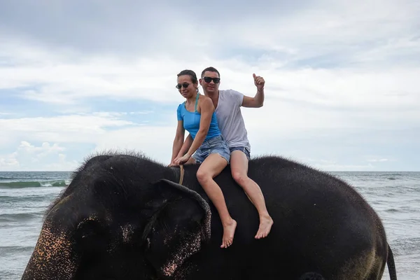Portrait of a happy young couple on an elephant on the background of a tropical ocean. Tropical coast of Sri Lanka