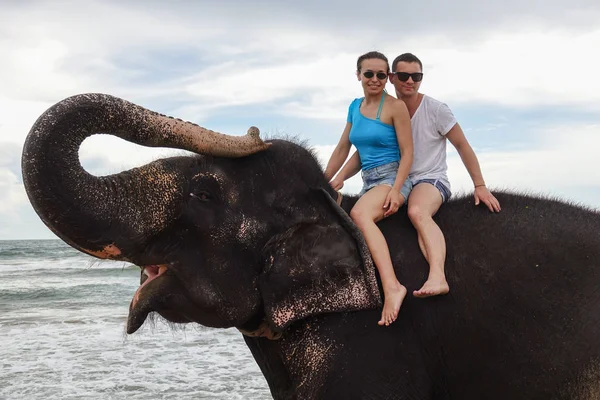 Portrait of a happy young couple on an elephant with trunk up on the background of a tropical ocean beach. Tropical coast of Sri Lanka