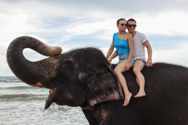 Portrait Happy Young Couple Elephant Trunk Background Tropical Ocean Beach — Stock Photo, Image