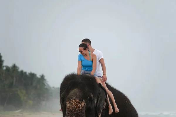 Young couple is riding on an elephant on the background of a tropical ocean beach. Tropical coast of Sri Lanka