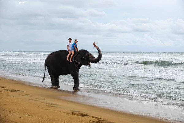 Young couple is riding on an elephant with trunk up on the background of a tropical ocean beach. Tropical coast of Sri Lanka