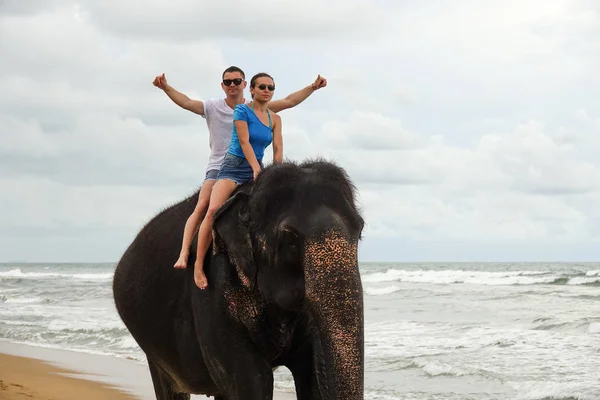 Portrait of a happy young couple on an elephant on the background of a tropical ocean beach. Tropical coast of Sri Lanka