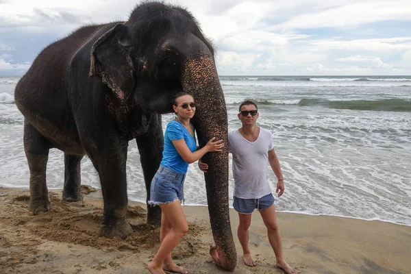 Portrait of a happy young couple with an elephant on the background of a tropical ocean beach. Tropical coast of Sri Lanka