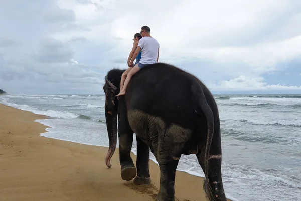Νεαρό Ζευγάρι Είναι Ιππασία Ένα Ελέφαντα Στο Φόντο Μιας Παραλίας Royalty Free Φωτογραφίες Αρχείου