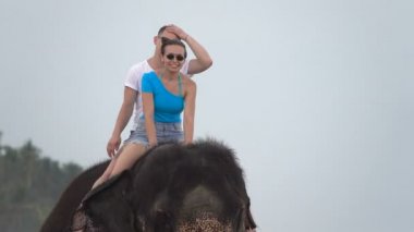 Mutlu genç çift tropikal okyanus kıyısında bir fil sürmek. Sri Lanka kıyıları