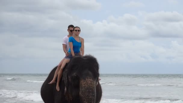 Casal Jovem Feliz Está Montando Elefante Fundo Oceano Tropical Costa — Vídeo de Stock