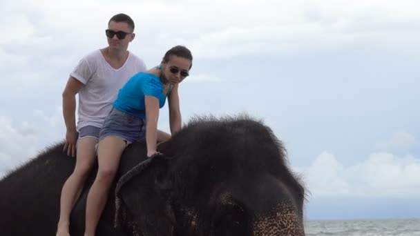 幸福的年轻夫妇骑着一头大象在热带海洋的背景 斯里兰卡海岸 — 图库视频影像