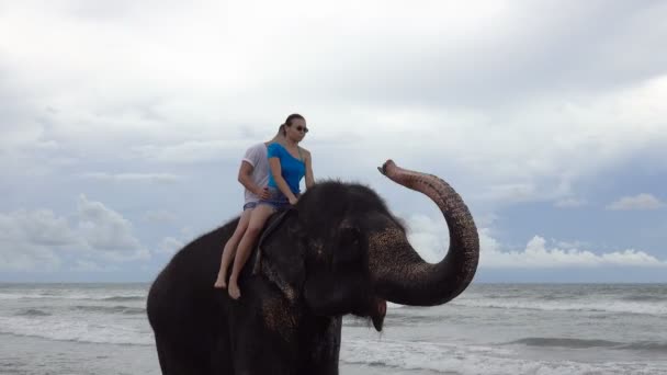 幸せな若いカップルは 熱帯の海を背景にトランクを持つ象に乗っています スリランカの海岸 — ストック動画