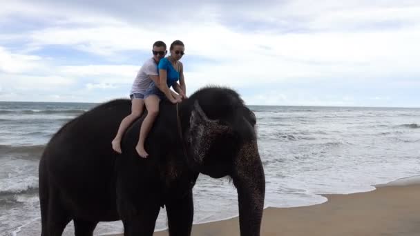 Happy Young Couple Riding Elephant Background Tropical Ocean Coast Sri — Stock Video