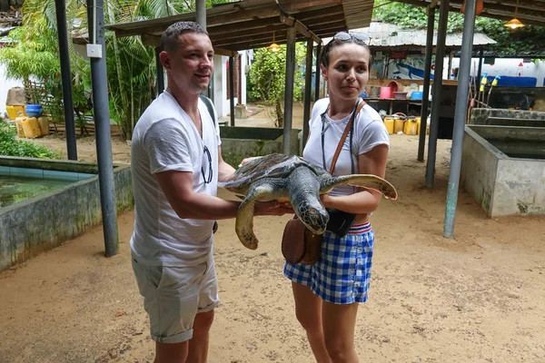 Pareja joven sosteniendo una gran tortuga en sus manos. Granja de tortugas en Sri Lanka Imagen de stock