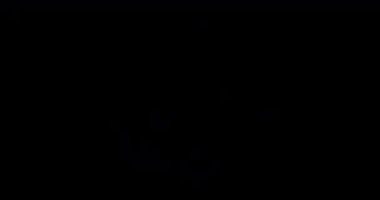 Big Spread Döngüsü Kabarcık Animasyon Hareketi ve Uçan 3 Adım. Alfa kanalıyla 4K çözünürlüğü. Kullanımı kolay, projenize .mov dosyalarını bırakın.